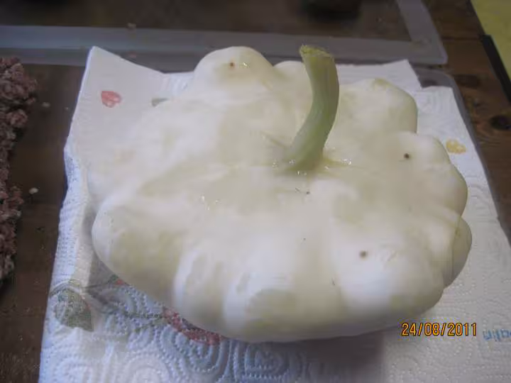 Patisson blanc farci