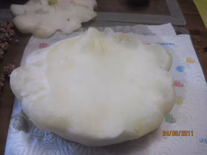 Patisson blanc farci