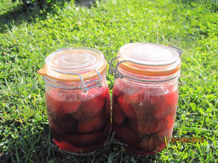 Peches de vigne cuites apres sterilisation
