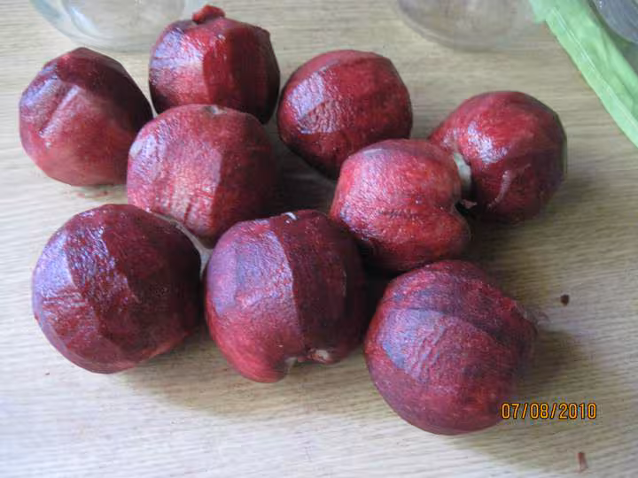 Peches de vigne sterilisees