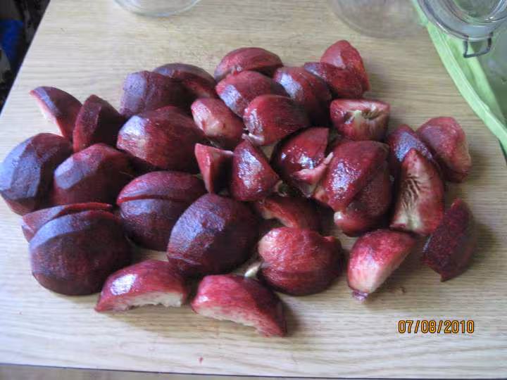 Peches de vigne sterilisees