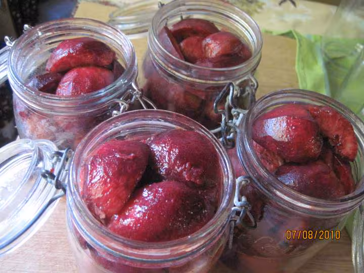 Peches de vigne sterilisees