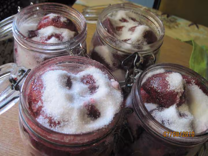 Peches de vigne sterilisees