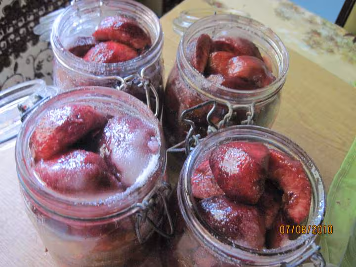 Peches de vigne sterilisees
