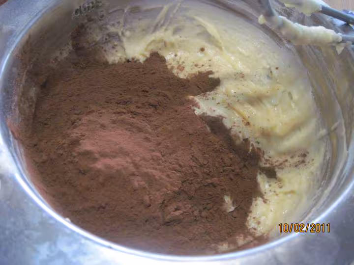 Petits gateaux au yaourt de brebis et chocolat