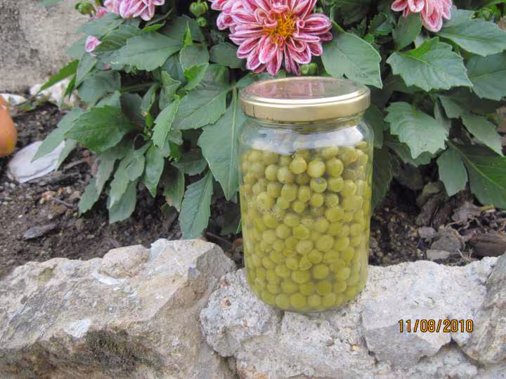 Petits pois frais sterilises