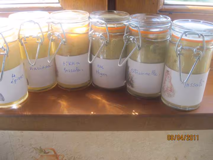 Petits pots de moutarde assaisonnees