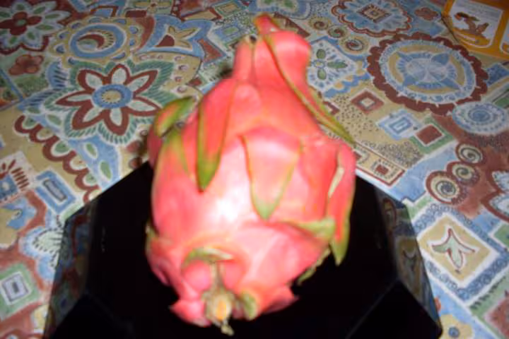 Pitaya rouge ou pitanaya