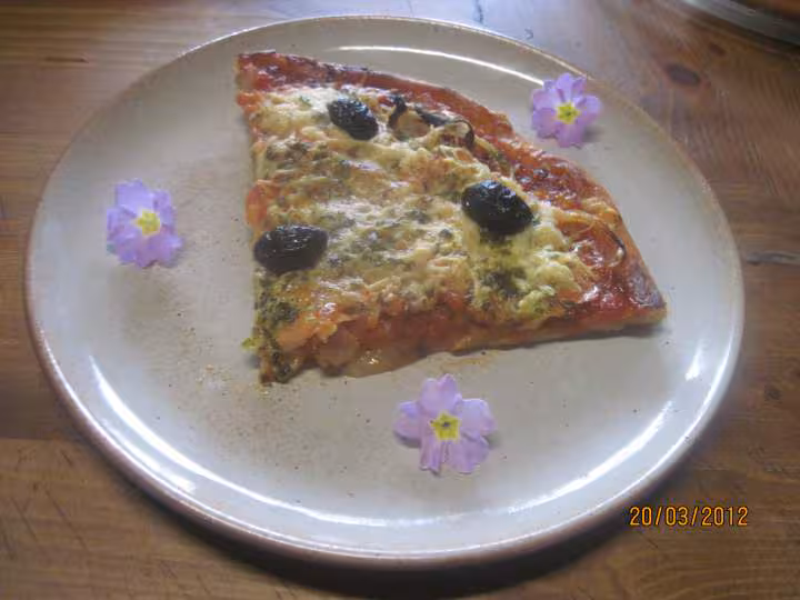 Pizza aux oignons et tranches de truite fumee
