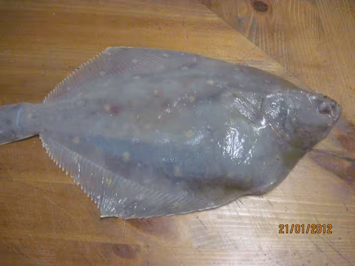 Poisson carrelet au citron micro ondes