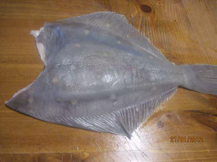 Poisson carrelet au citron micro ondes