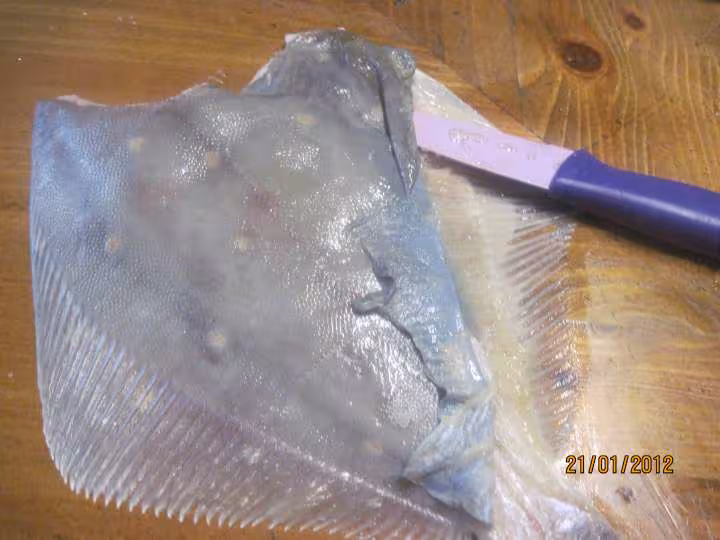 Poisson carrelet au citron micro ondes