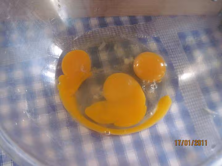 Poivrons amp tomates farcis omelette