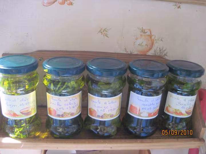 Pots d huile d olive aux aromates frais