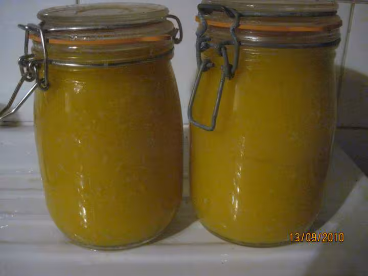 Puree de citrouille sterilisees photos