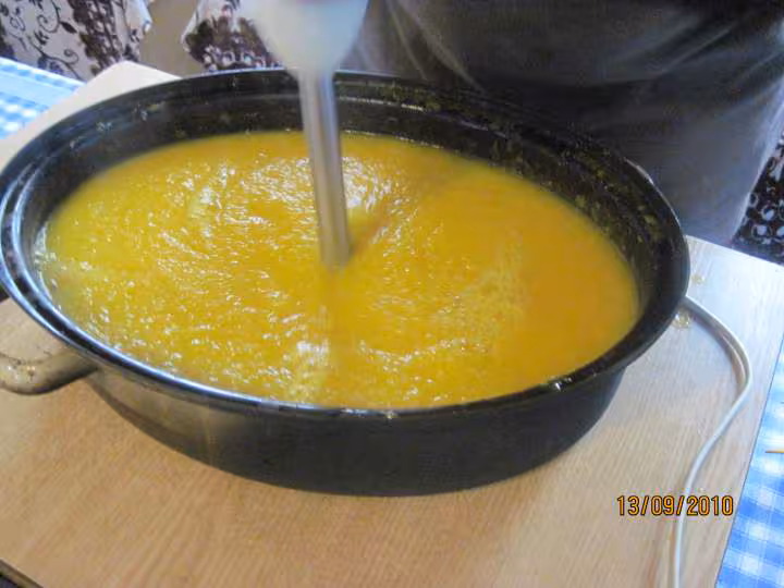 Puree de citrouille sterilisees photos
