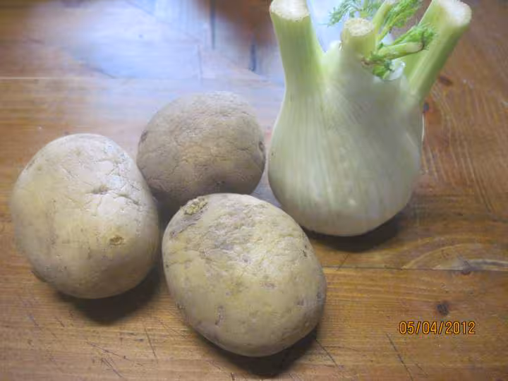 Puree de fenouil et pommes de terre gratine