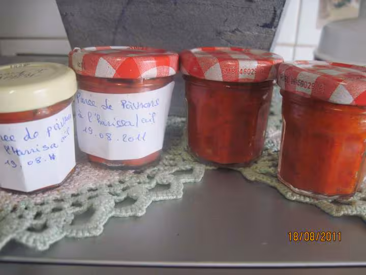 Puree de poivrons rouges a l harissa d ail