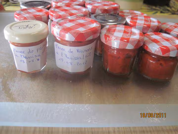 Puree de poivrons rouges a l harissa d ail