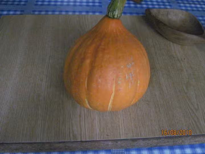 Puree de potimarron au basilic