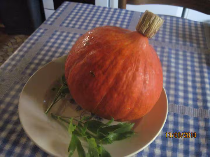 Puree de potimarron au celeri sterilisees