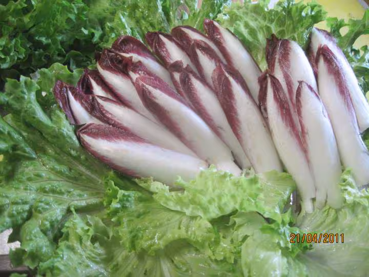 Quatuor de salades en vignaidrette