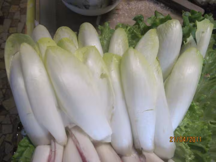 Quatuor de salades en vignaidrette