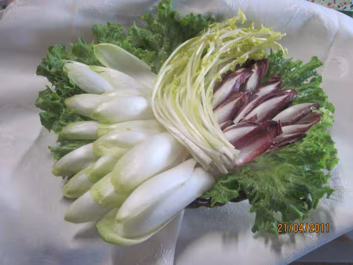 Quatuor de salades en vignaidrette