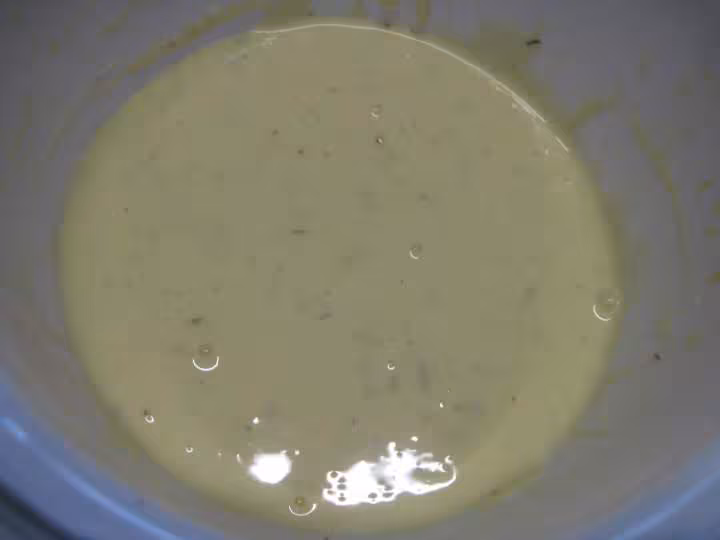 Quiche aux jeunes pousses d epinard