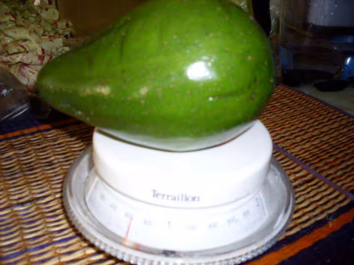 Recette d avocat de 690 gr