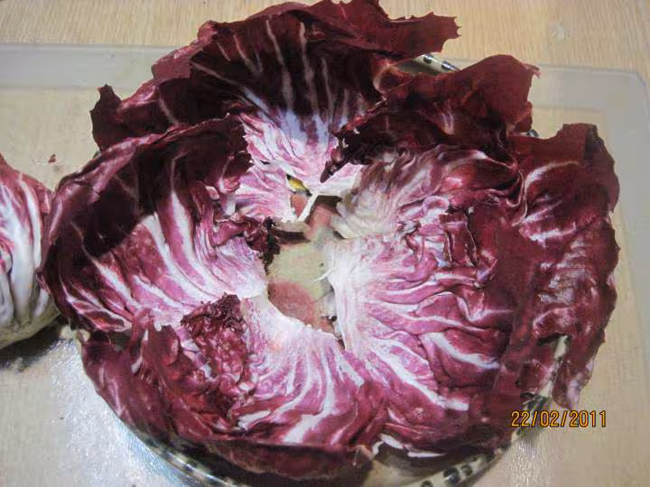 Salade aux 2 endives et crudites