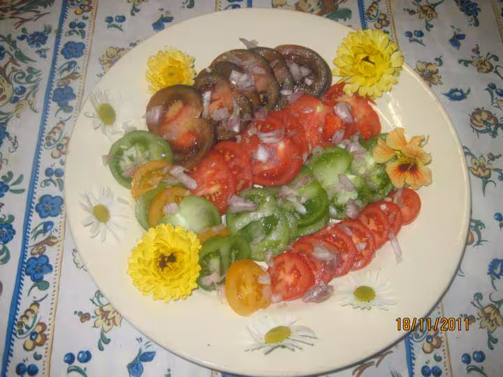 Salade de tomates anciennes