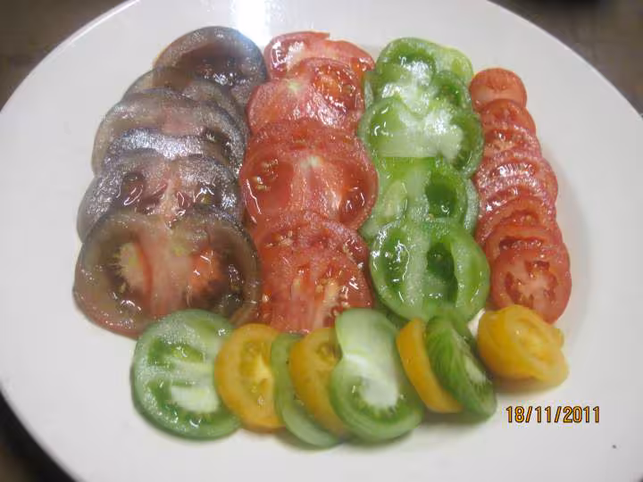 Salade de tomates anciennes