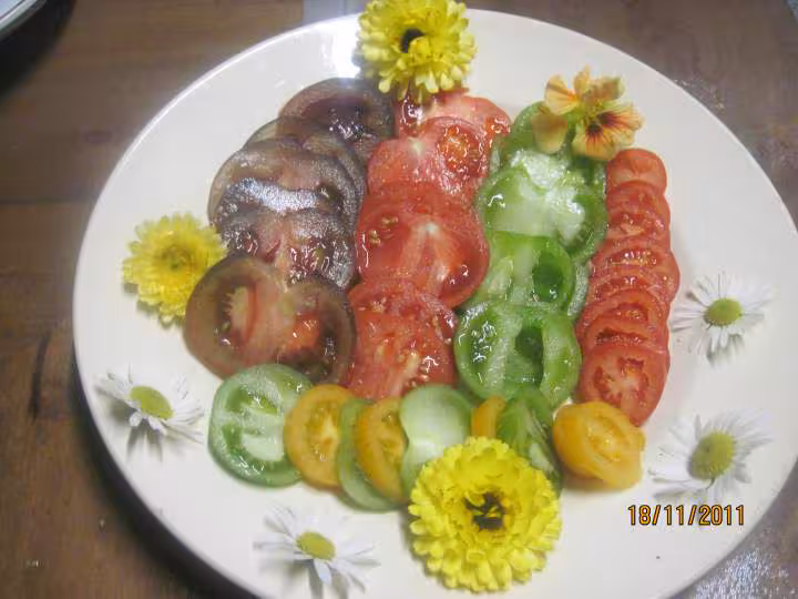 Salade de tomates anciennes