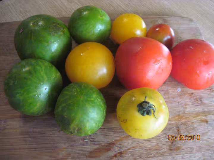 Sauce tomates aux 3 couleurs cuisinees
