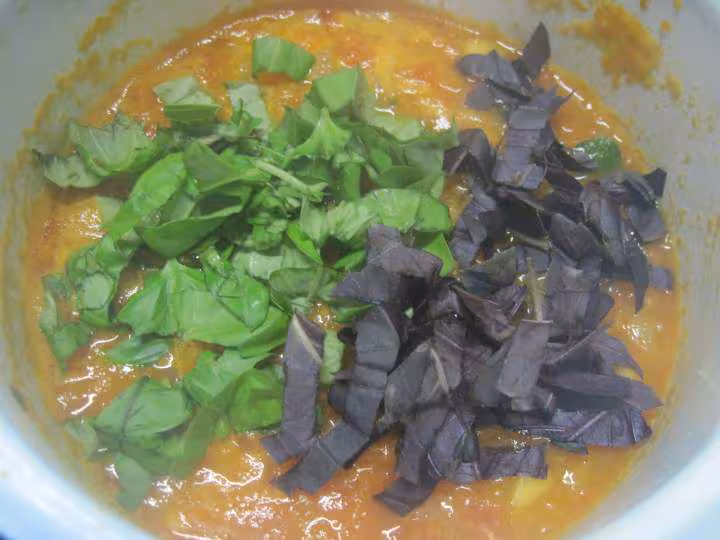 Sauce tomates aux basilic vert et rouge