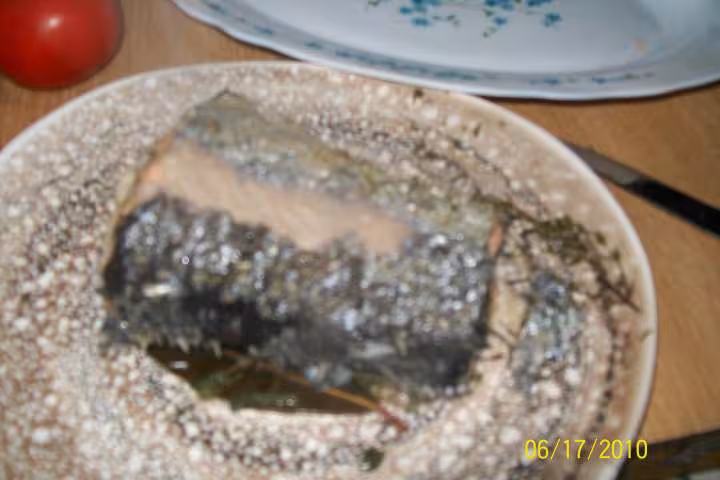 Saumon rose aux petits legumes et mayonnaise