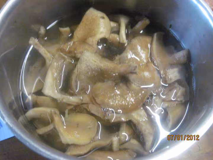 Saumon rose aux pleurotes sauce poisson