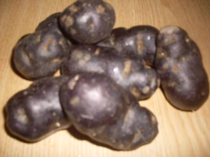 Saute de p de terre vitelotte
