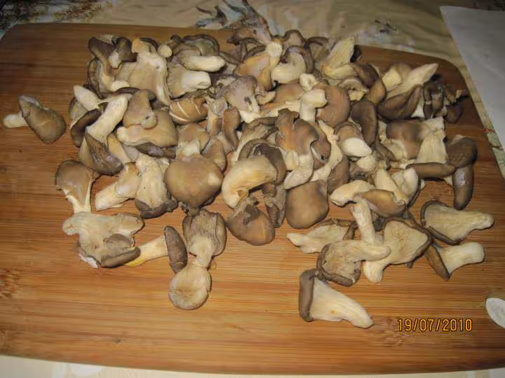 Saute de pleurotes aux echalotes