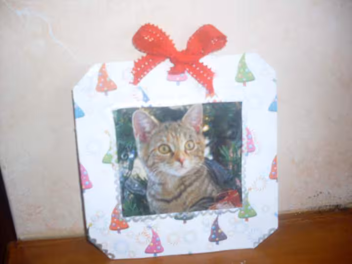 Scrapcooking une carte parmie tant d autres