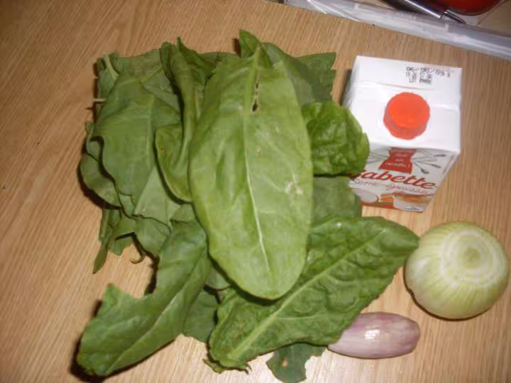 Soupe a l oseille