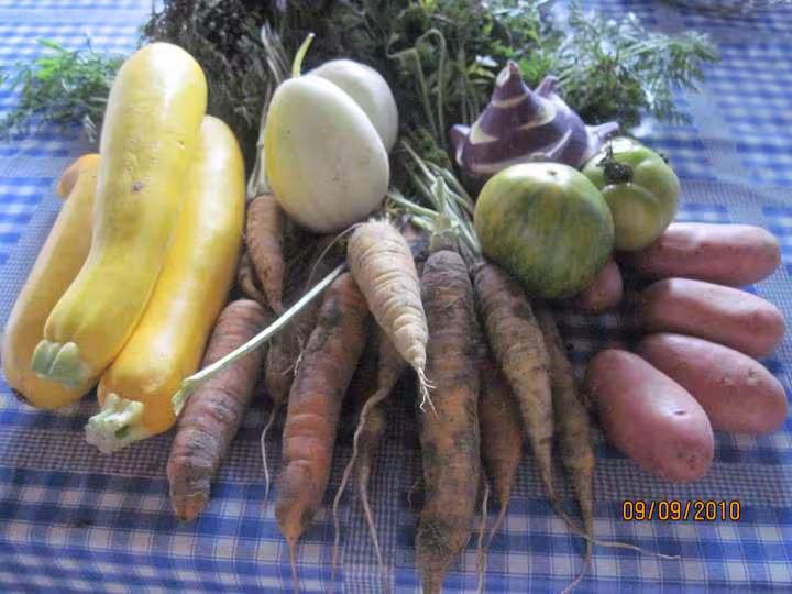 Soupe chaude aux legumes anciens sterilisees