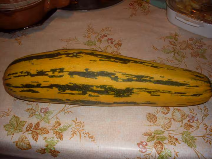 Soupe de courgettes