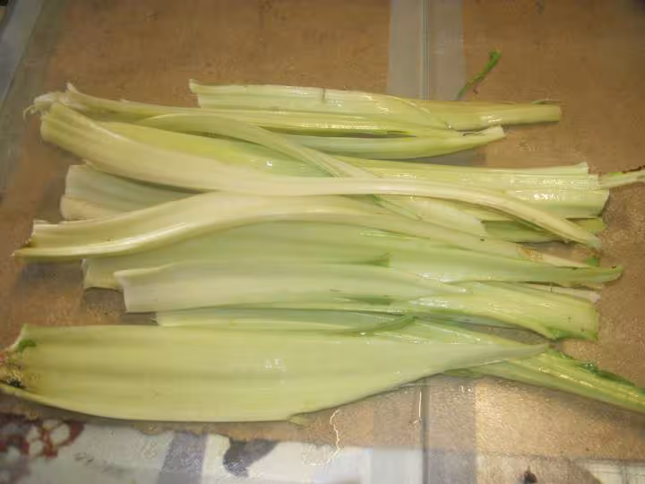 Soupe de feuilles de blette et pommes de terre