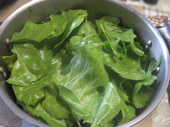 Soupe de feuilles de blette et pommes de terre