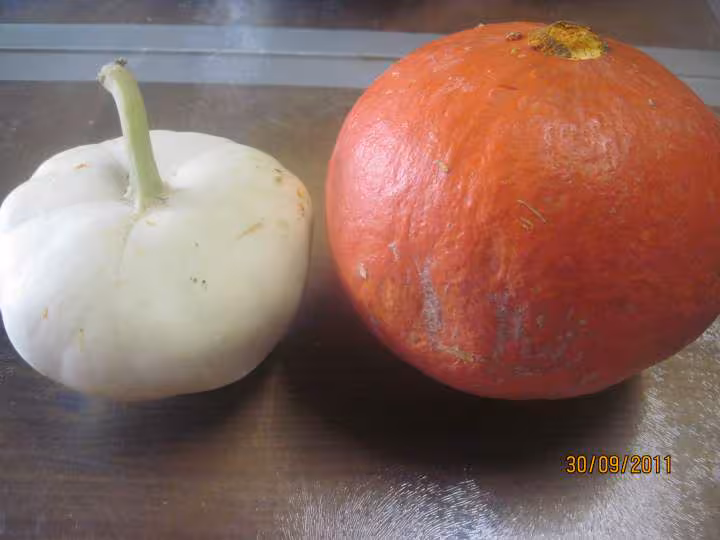 Soupe de potiron aux des de patisson blanc