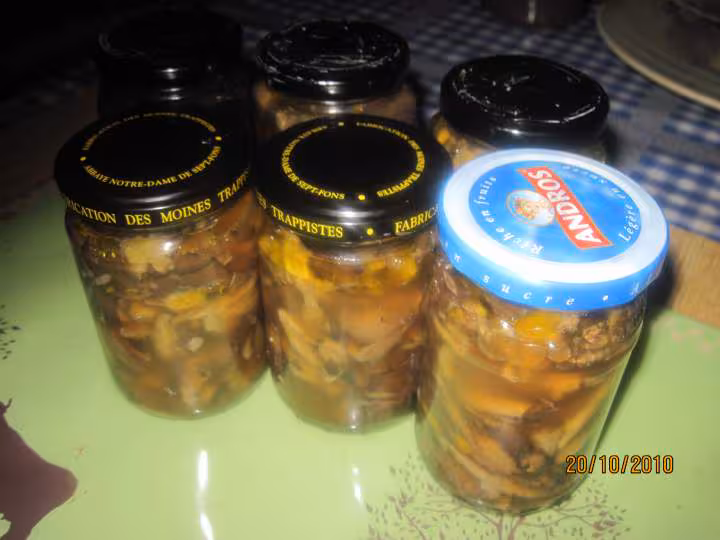 Sterilisation champignons noirs trompette de la mort