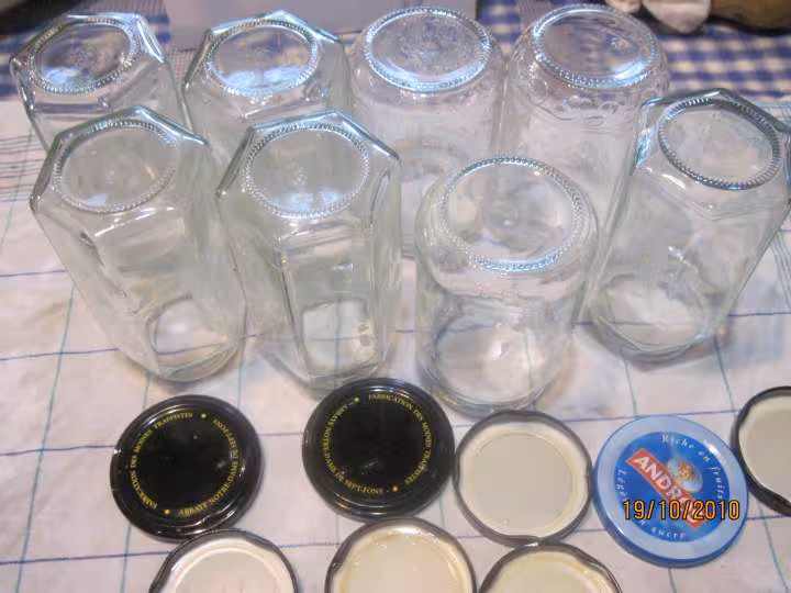Sterilisation champignons pleurotes savages