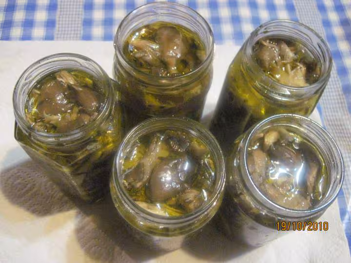 Sterilisation champignons pleurotes savages